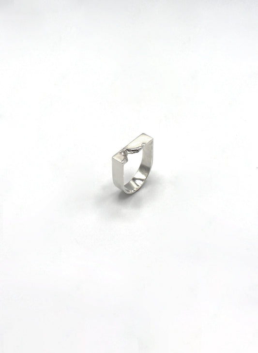 Bague chevalière argent 925 - Balafre