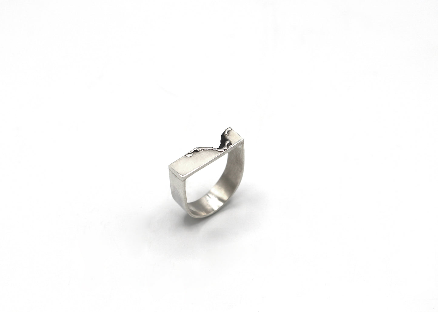 Bague chevalière argent 925 patiné - Balafre