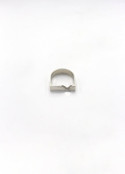 Bague chevalière argent 925 - Balafre