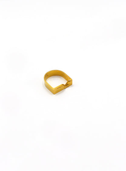 Bague chevalière vermeil - Balafre
