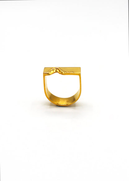 Bague chevalière vermeil - Balafre